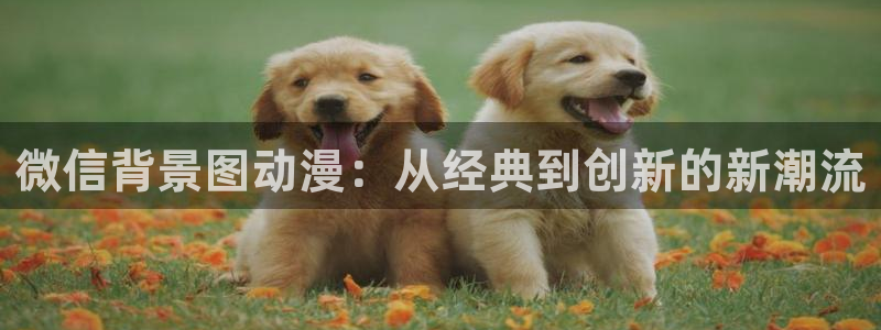 此时此刻的我动漫在线观看樱花动漫