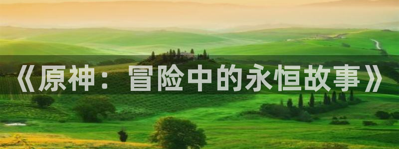 新琉恩传说,樱花动漫