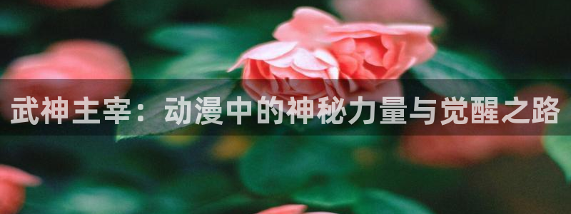 樱花动漫吊带袜天使