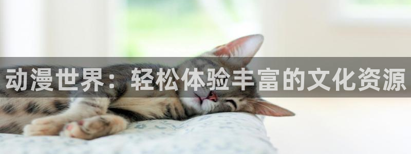 魔女之旅樱花动漫全集